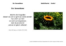 Die-Sonnenblume-Goethe.pdf